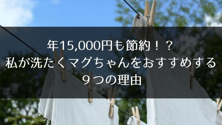 年15 000円も節約 私が洗たくマグちゃんをおすすめする９つの理由 はうすごもり