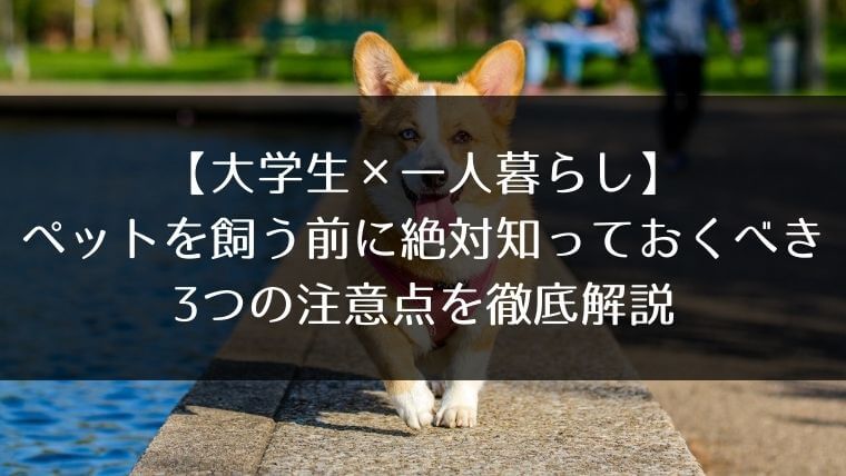 大学生 一人暮らし ペットを飼う前に絶対知っておくべき3つの注意点を徹底解説 はうすごもり